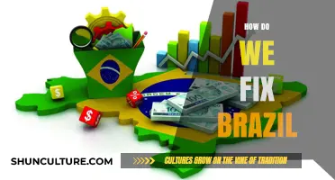Revitalizing Brazil: Strategies for Economic, Social, and Political Transformation