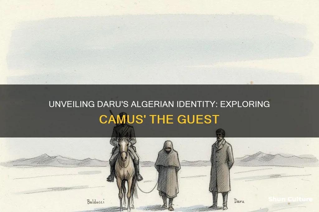 how do we know daru is algerian the uest