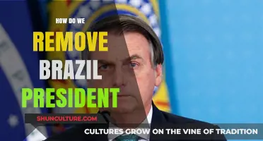 Removing Brazil's President: Legal Processes and Constitutional Steps Explained