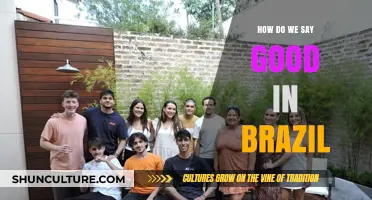 Expressing Goodness in Brazil: Language, Culture, and Common Phrases