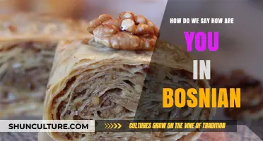 How to Ask 'How Are You?' in Bosnian: A Quick Guide