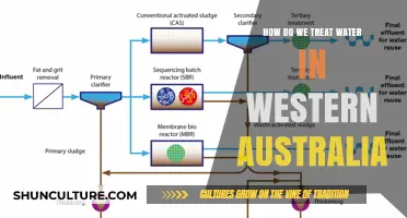Water Treatment in Western Australia: Advanced Techniques and Challenges