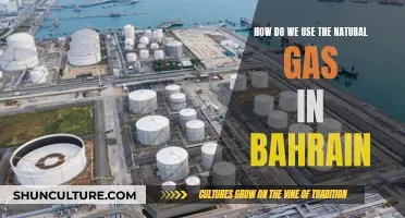 Bahrain's Natural Gas: Powering the Kingdom's Energy Needs