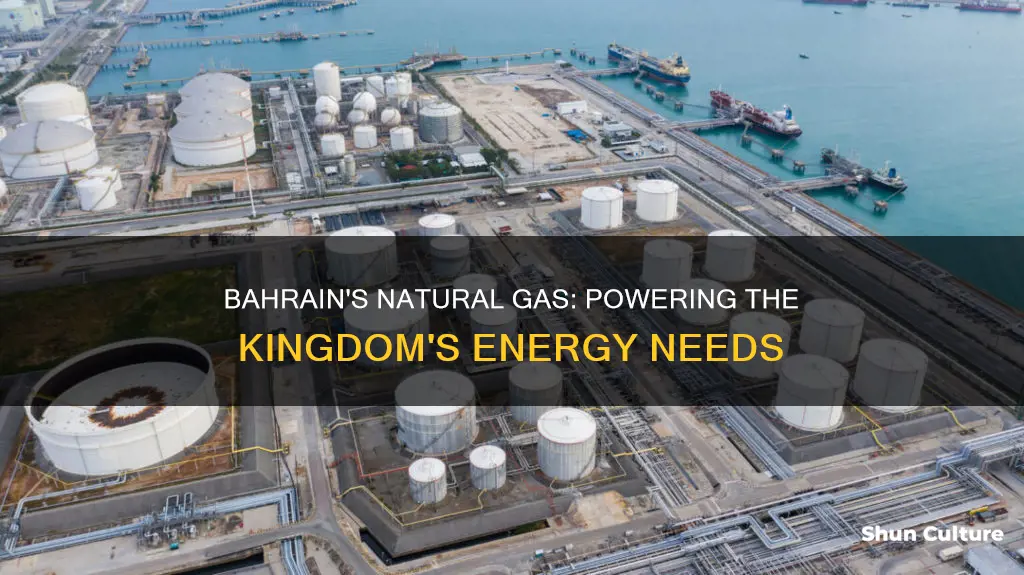 how do we use the natural gas in bahrain