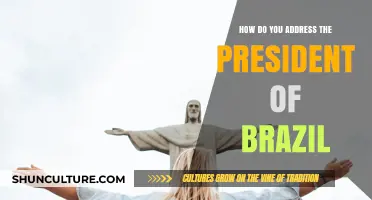 Proper Etiquette: Addressing Brazil's President with Respect and Protocol