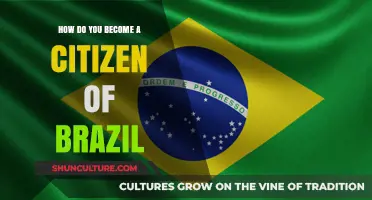 Steps to Obtain Brazilian Citizenship: A Comprehensive Guide