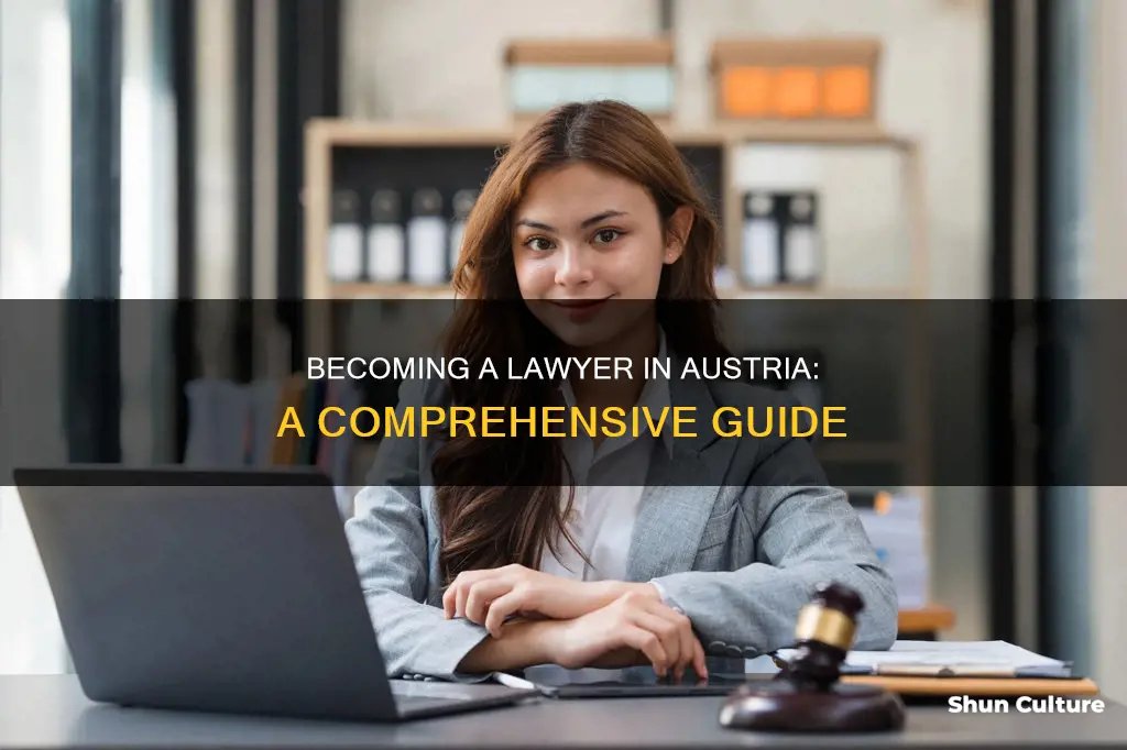 how do you become a lawyer in austria