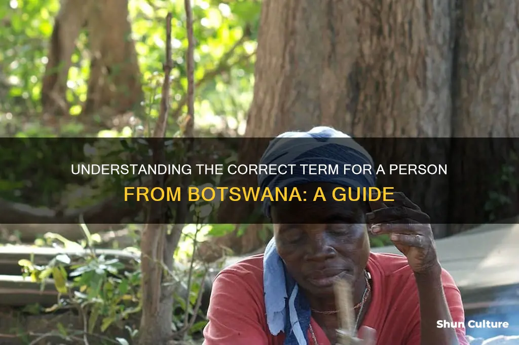 how do you call a person from botswana