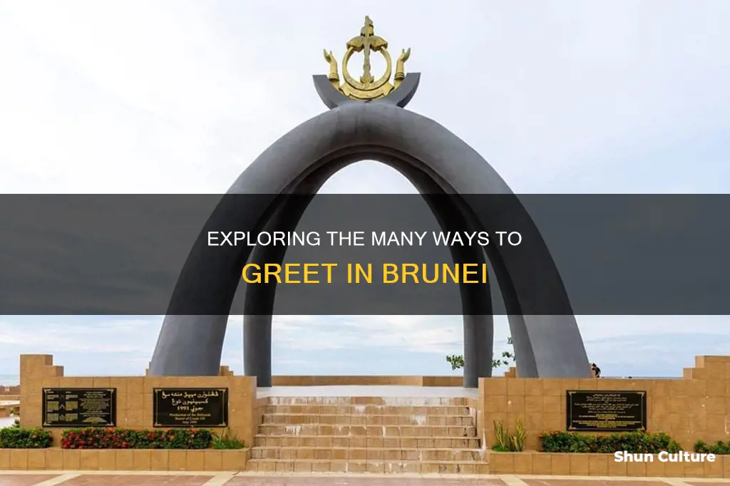 how do you call brunei