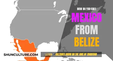 Making International Calls: Belize to Mexico