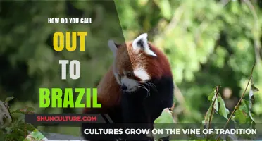 Calling Brazil: Essential Tips for International Communication and Connection