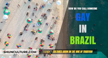 Understanding Brazilian Slang: How to Refer to Someone as Gay in Brazil