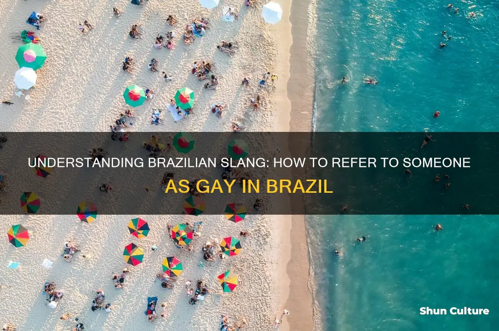 how do you call someone gay in brazil