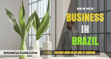 Navigating Brazil's Business Landscape: Strategies for Success and Growth