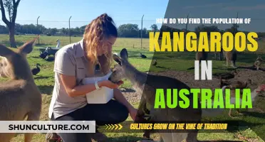 Tracking Australia's Kangaroo Population: Methods and Challenges