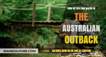 Finding Water in the Australian Outback: Survival Techniques