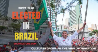 Navigating Brazil's Electoral System: Strategies for Winning an Election