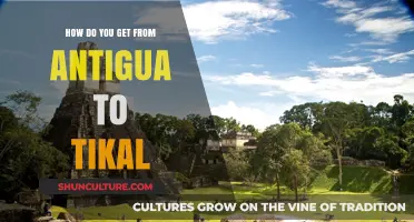 Traveling from Antigua to Tikal: A Comprehensive Guide to Your Journey