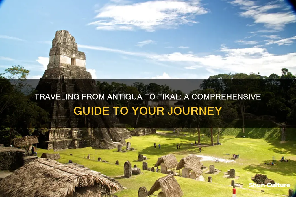 how do you get from antigua to tikal