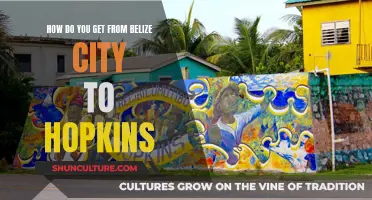 Belize City to Hopkins: Exploring the Travel Options