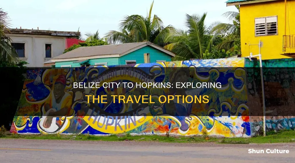 how do you get from belize city to hopkins