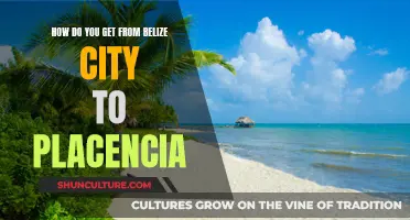 Belize City to Placencia: Exploring the Travel Options