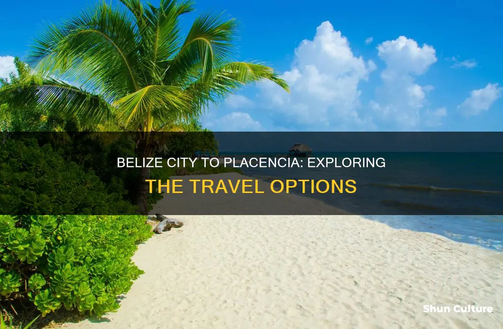 how do you get from belize city to placencia