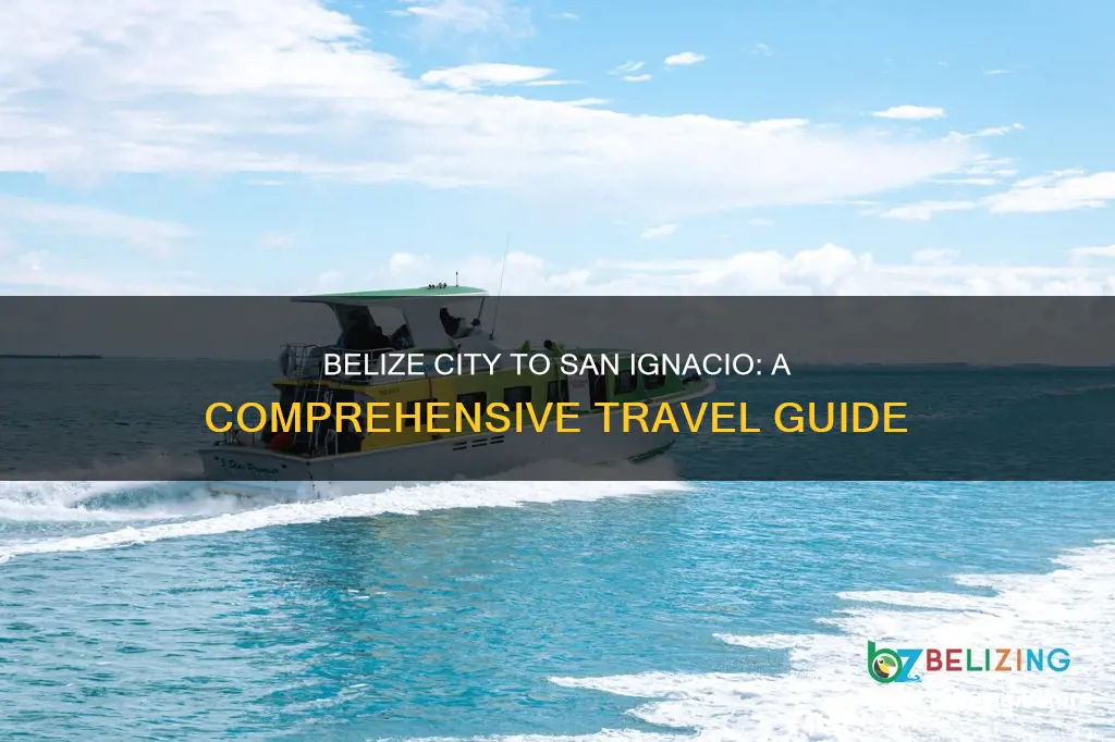 how do you get from belize city to san ignacio