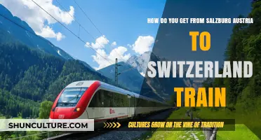 A Journey Through the Alps: Salzburg to Switzerland by Train