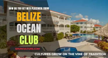 Belize Ocean Club to Placencia: Transportation Options