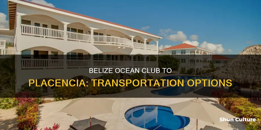 how do you get into placencia from belize ocean club