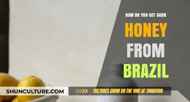 Discovering Brazil's Unique Sour Honey: Origins, Harvesting, and Flavor Secrets