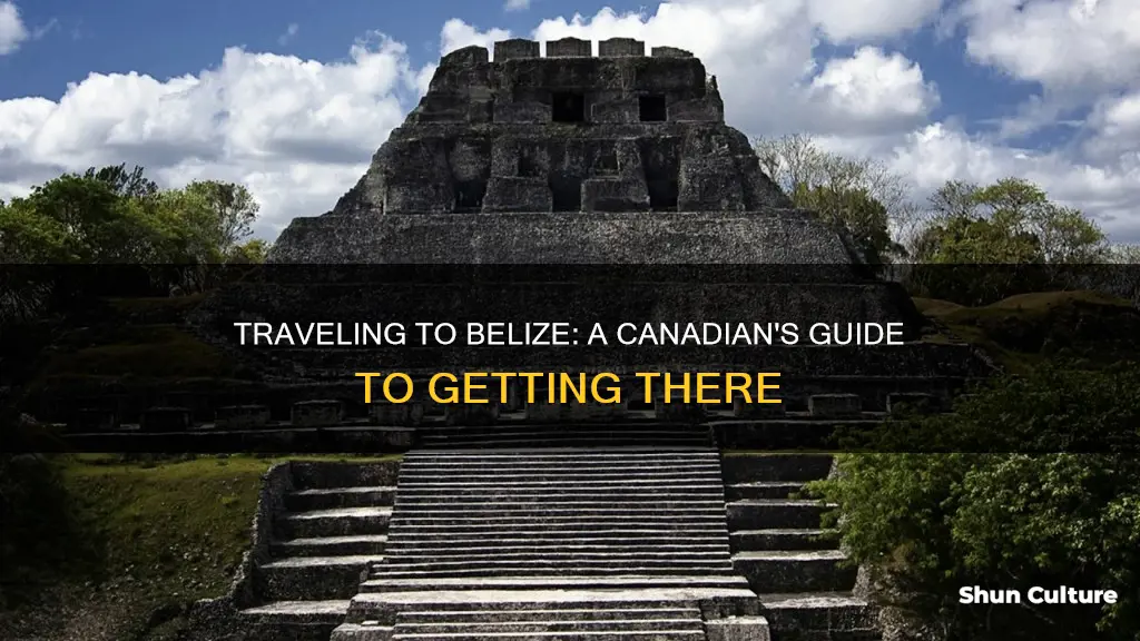 how do you get to belize from canada