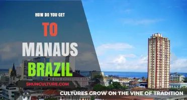 Exploring the Amazon: Your Ultimate Guide to Reaching Manaus, Brazil