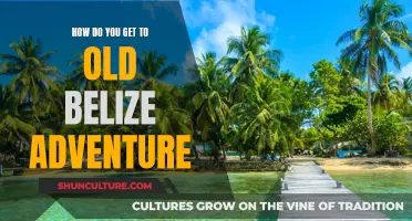 Exploring Old Belize: An Adventure through History and Nature