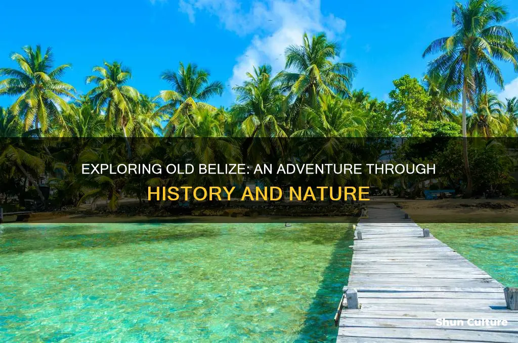 how do you get to old belize adventure