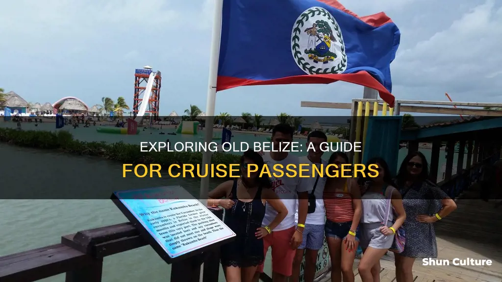 how do you get to old belize from cruise port