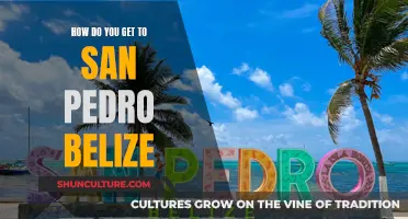 Exploring San Pedro, Belize: Travel Options and Adventures