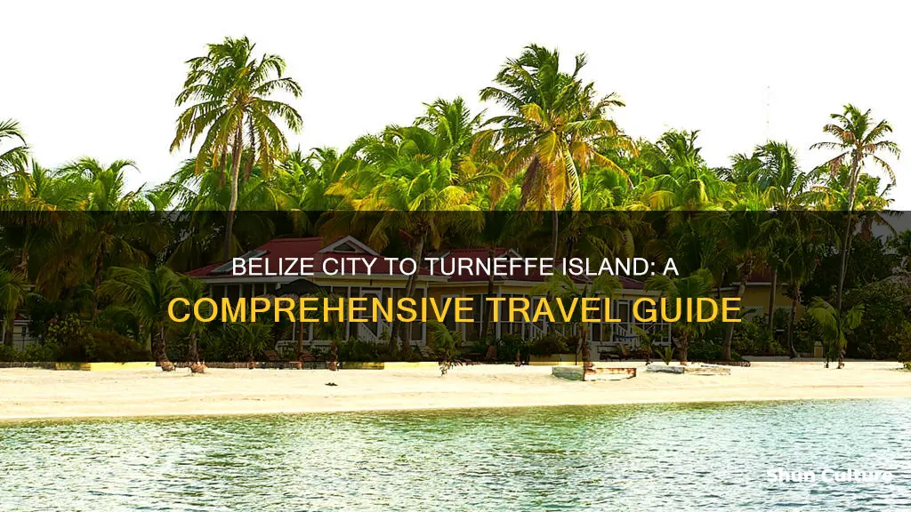 how do you get to turneffe island from belize city