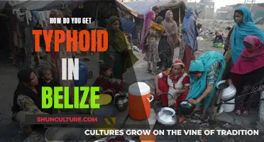 The Hidden Dangers of Belize's Water: Understanding the Risk of Typhoid