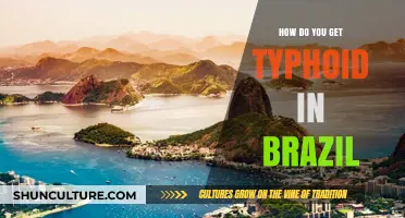 Understanding Typhoid Transmission Risks and Prevention in Brazil