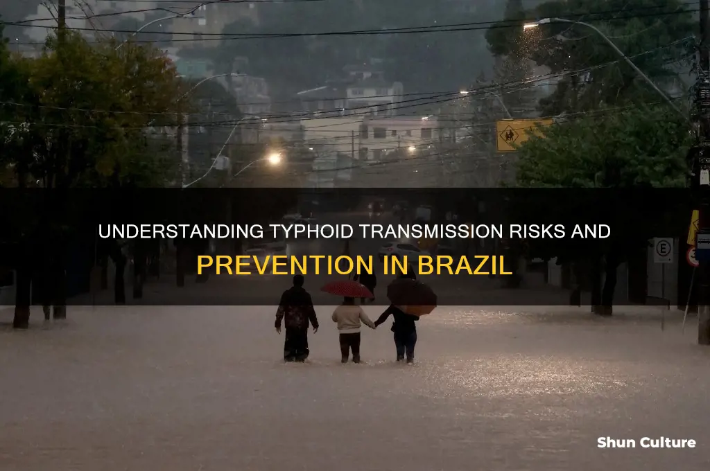 how do you get typhoid in brazil