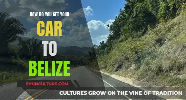 Shipping a Car to Belize: The Ultimate Guide