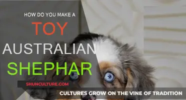 Crafting a Toy Australian Shepherd: A Guide