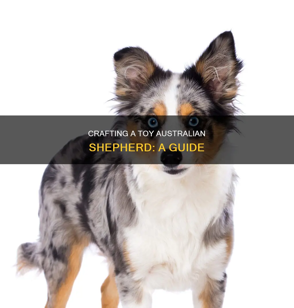 how do you make a toy australian shephard
