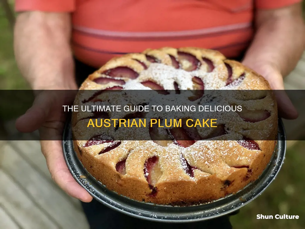 how do you make austrian plum cake