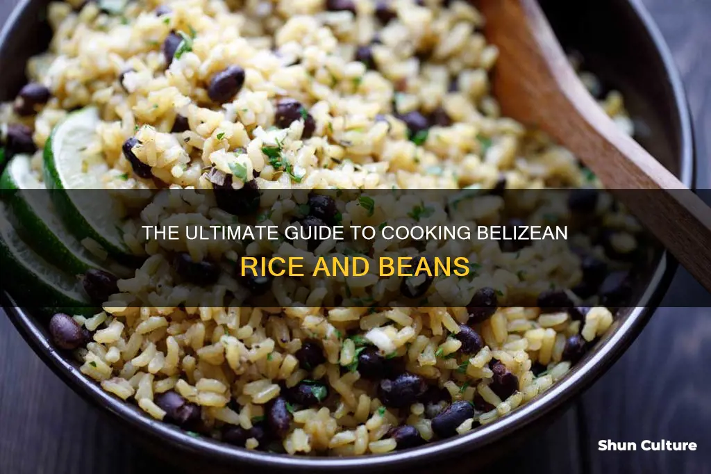 how do you make belizean rice and beans