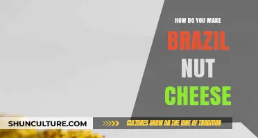 Creamy Brazil Nut Cheese: A Simple, Dairy-Free Recipe Guide