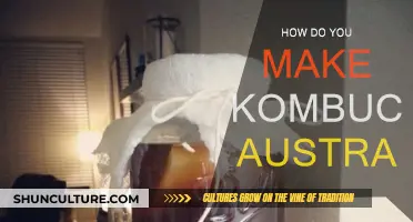 Kombucha Brewing: An Australian Guide