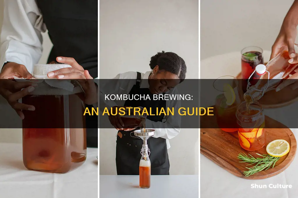 how do you make kombucha australia